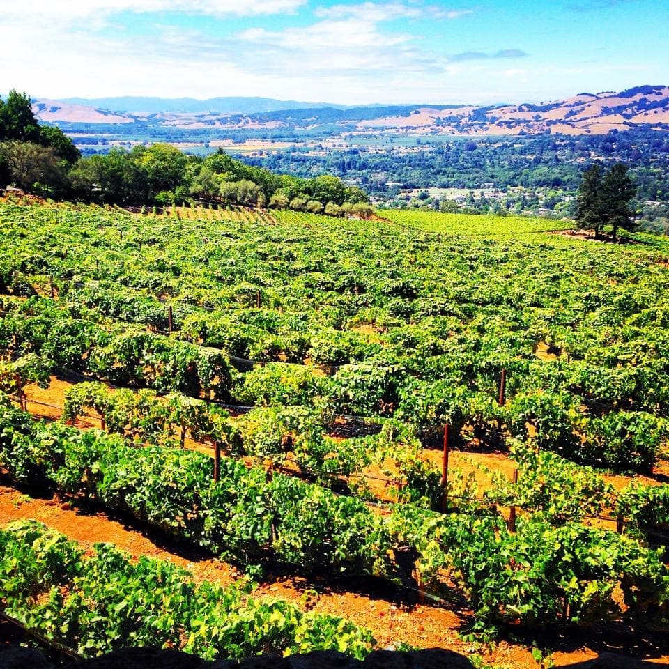 Hanzell Vineyards