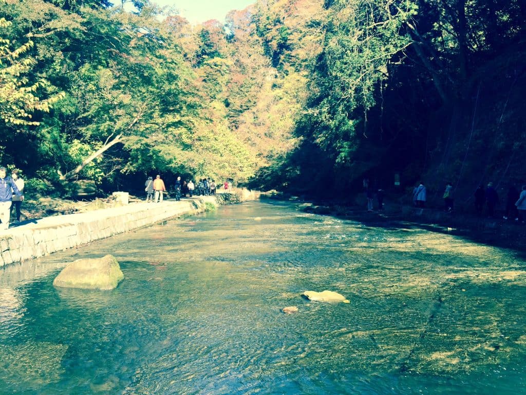 森林步道