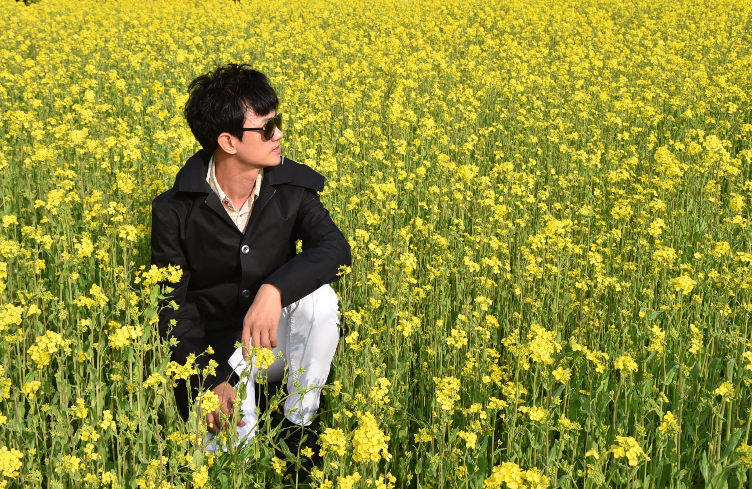 鎮海櫻花公路