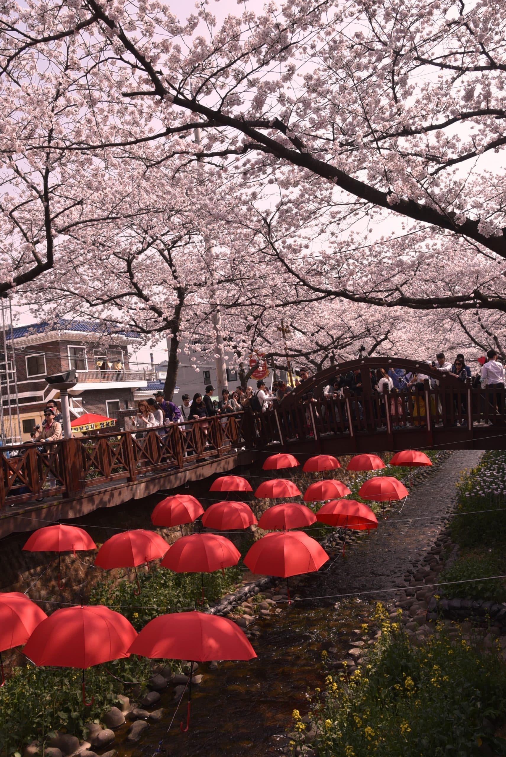 Romance 橋
