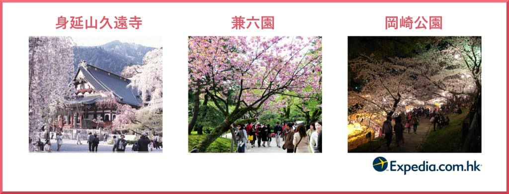 中部賞櫻景點