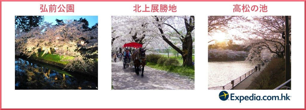 東北賞櫻景點
